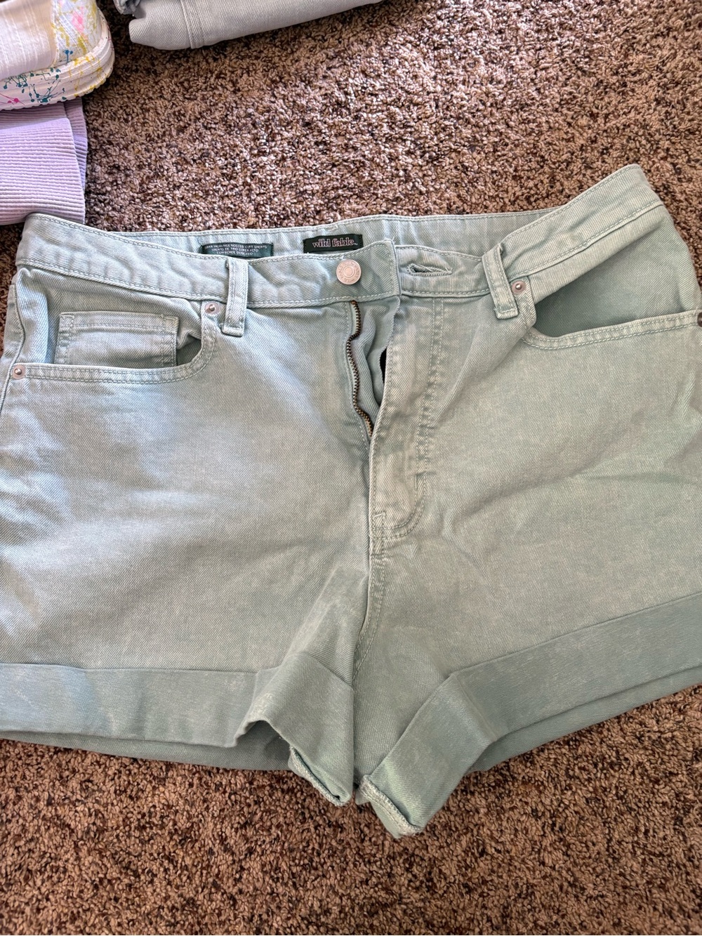 Wild Fable Shorts
